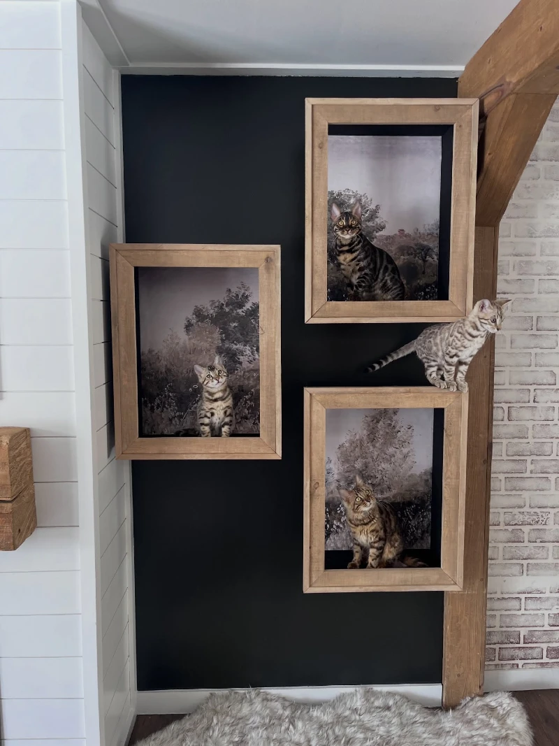 Deep Shadow Box Wall Planters with Vintage Landscape Backdrops and Timber Framing