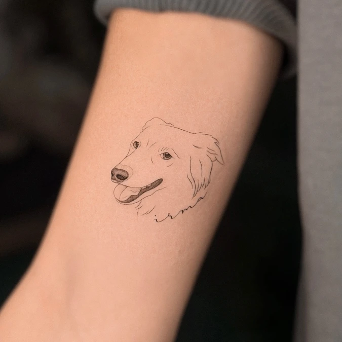 Delicate Fine Line Dog Portrait