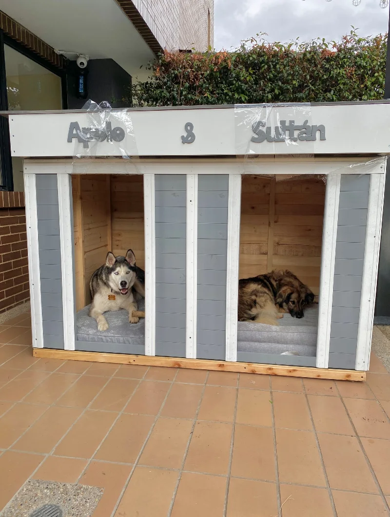 Dual-Chamber Gray Shelter with Clear Vinyl Curtains and Raised Timber Base