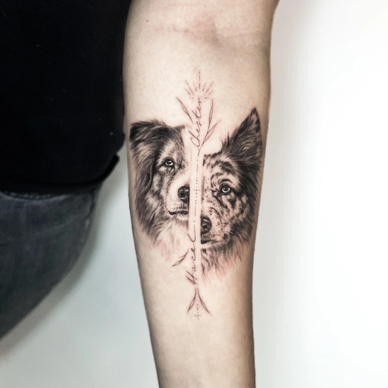 Dual Half-Face Border Collie Portraits Separated by Central Fine-Line Arrow and Name Script