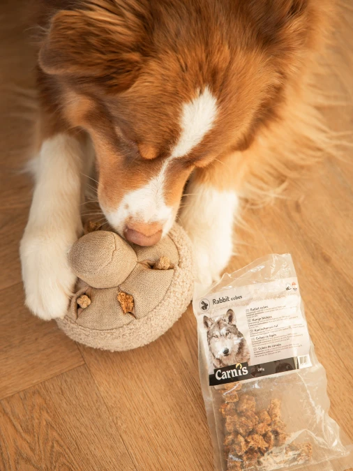 Earth Tone Plush Puzzles on Light Wood Floors