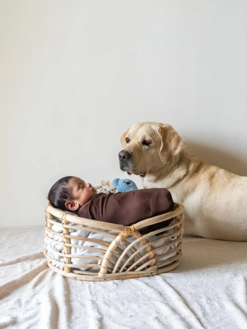 Earthy Minimalist Bassinet Setup