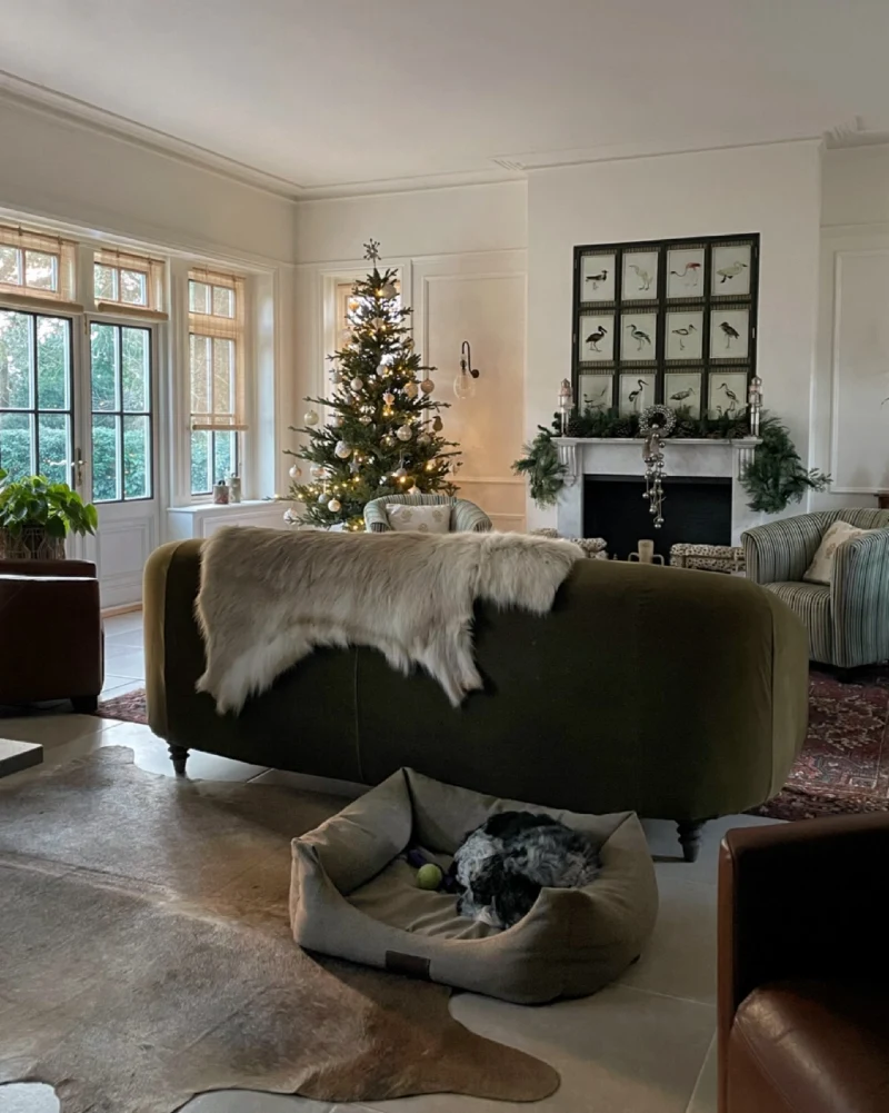 Elegant Drawing Room with Olive Green Velvet Sofa, Faux Fur Throw, and Plush Pet Bed