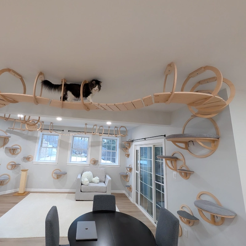 Elevated Birch Ceiling Tracks with Hoop Supports and Slatted Runway Suspension Bridges