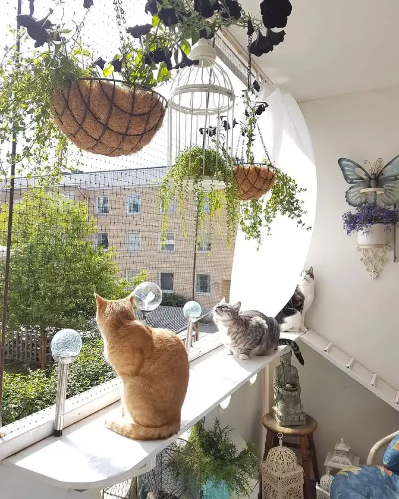 Elevated White Window Ledge with Hanging Planters and Solar Globe Lights