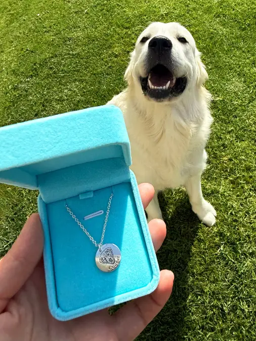 Engraved Silver Pendants And Velvet Boxes
