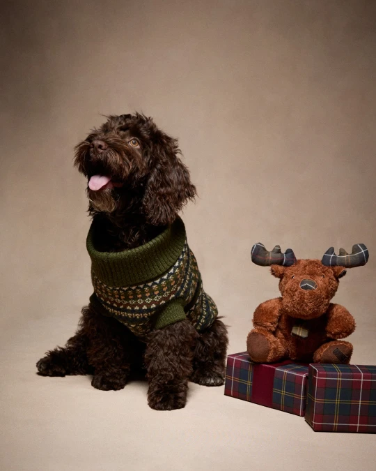 Fair Isle Dog Sweaters And Tartan Plush Toys