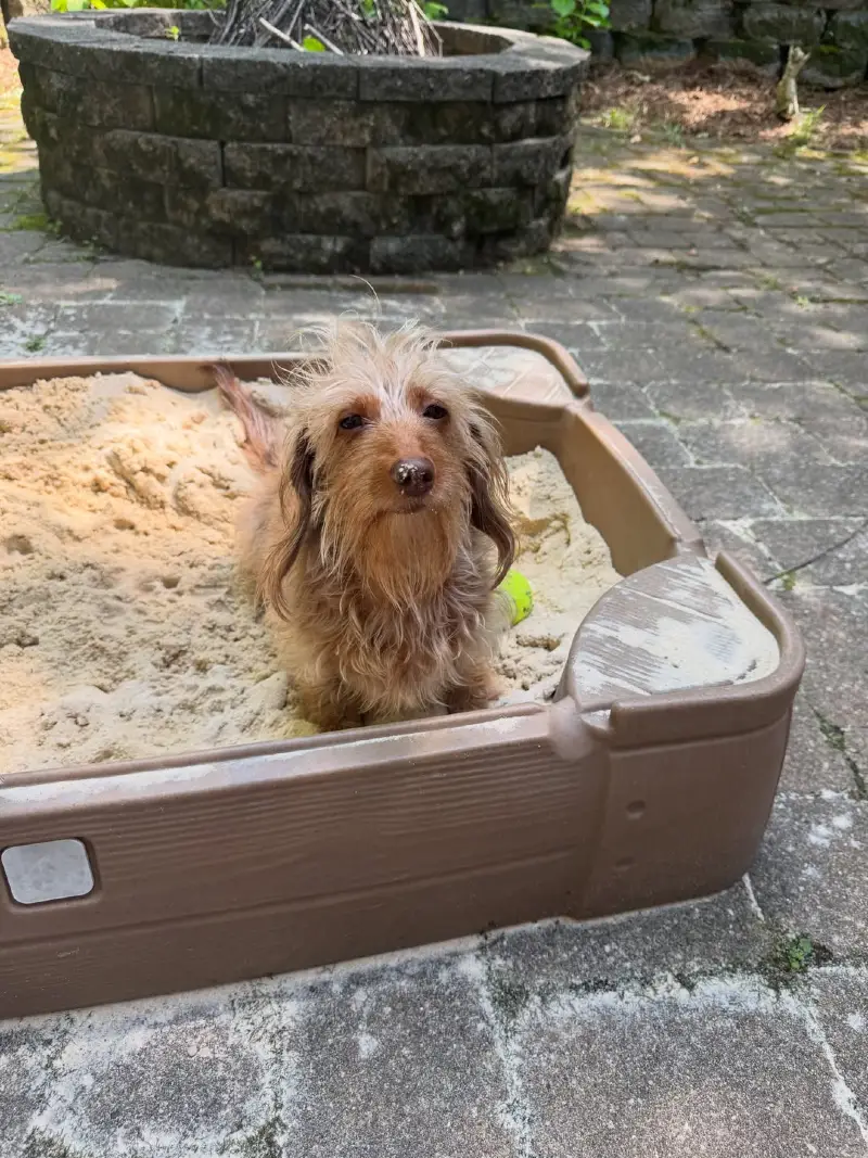 Faux-Wood Plastic Sandbox on a Brick Paver Patio