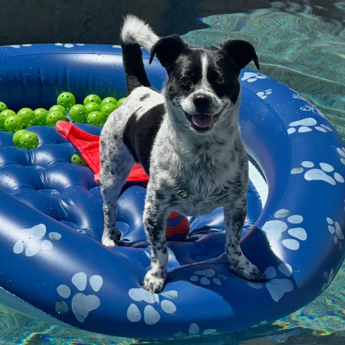 Floating Inflatable Lounge Pad