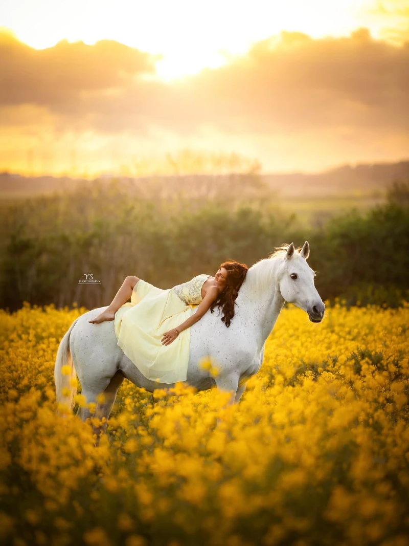 Flowing Pale Yellow Gown on a White Horse in a Mustard Field