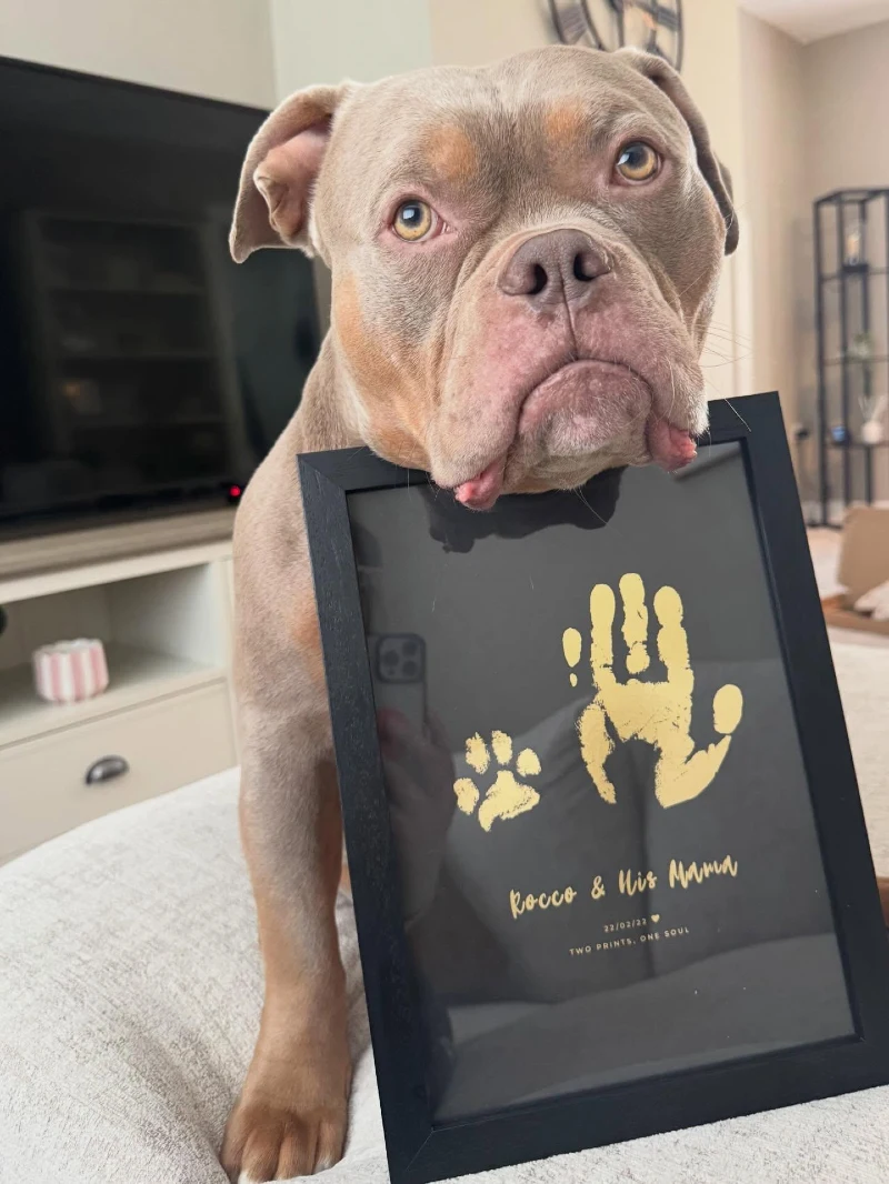 Framed Gold Foil Hand and Paw Print Keepsake