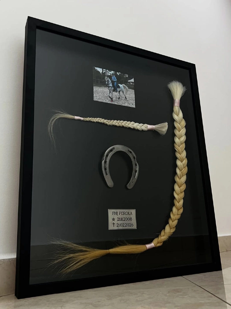 Framed Horsehair Braids and Memorial Shadow Box