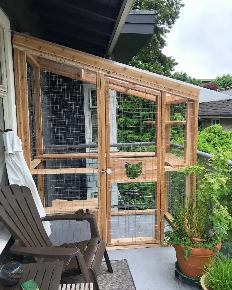 Freestanding Cedar Frame Enclosure with Slanted Roof and Cat-Cutout Door
