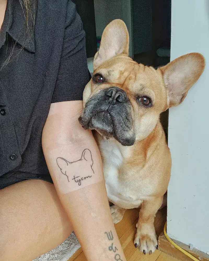 French bulldog ear outline with a handwritten name