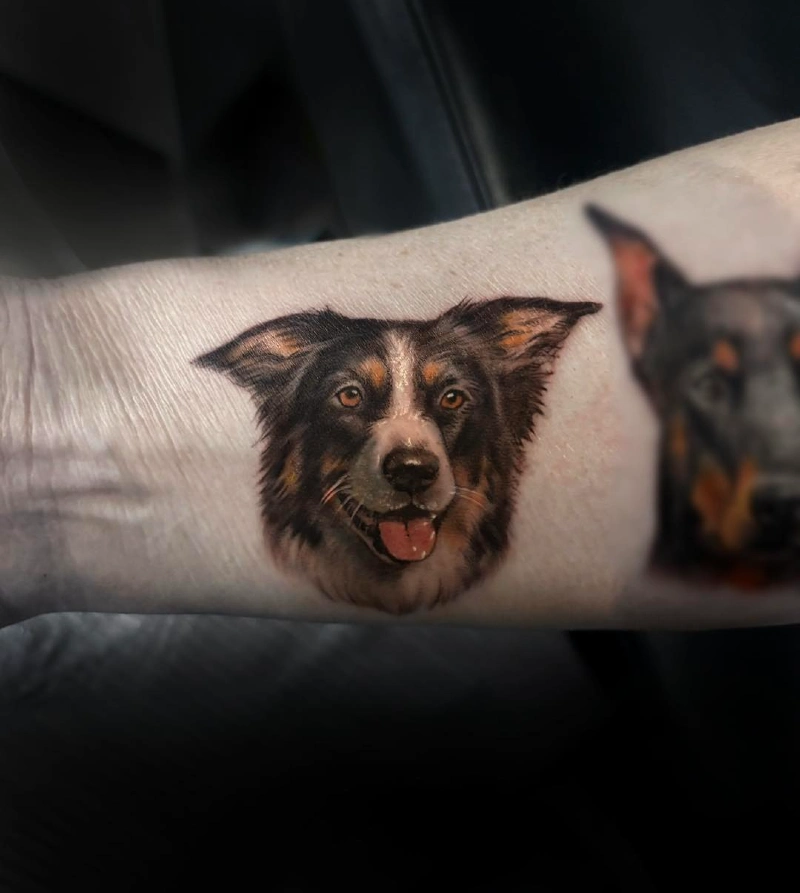 Full-Color Micro-Realism Australian Shepherd Portrait with Rich Tan and Pink Ink Highlights