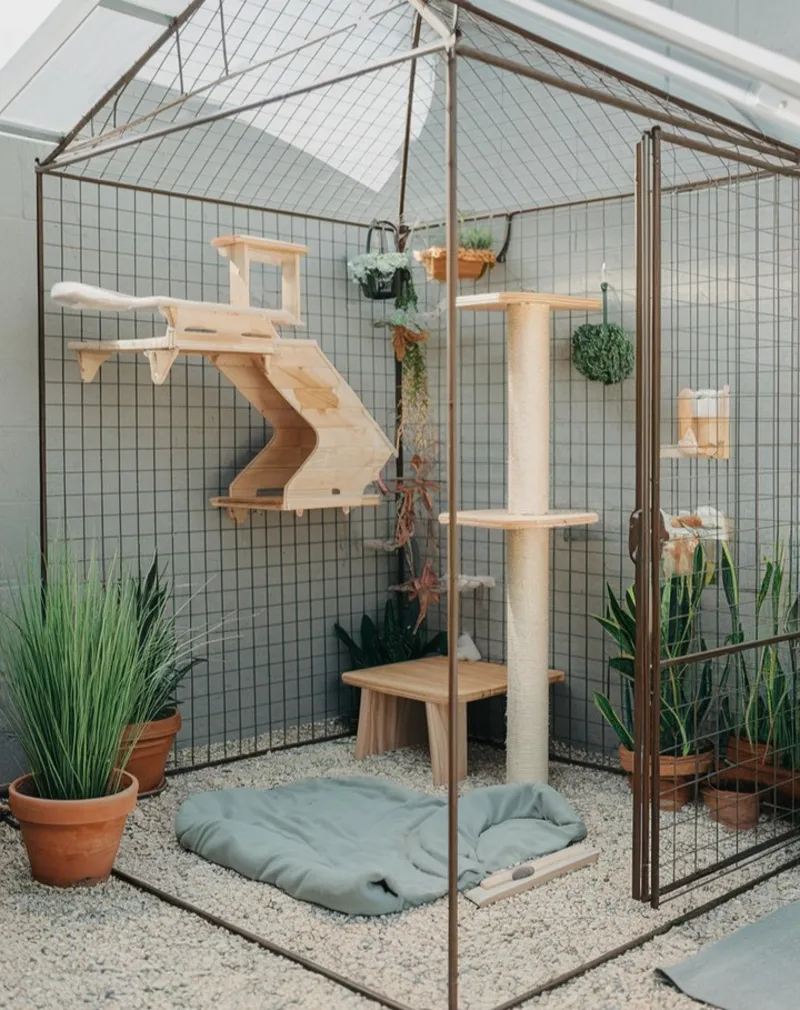 Gabled Bronze Wire Enclosure with Wave Ramp and Sage Green Floor Cushion