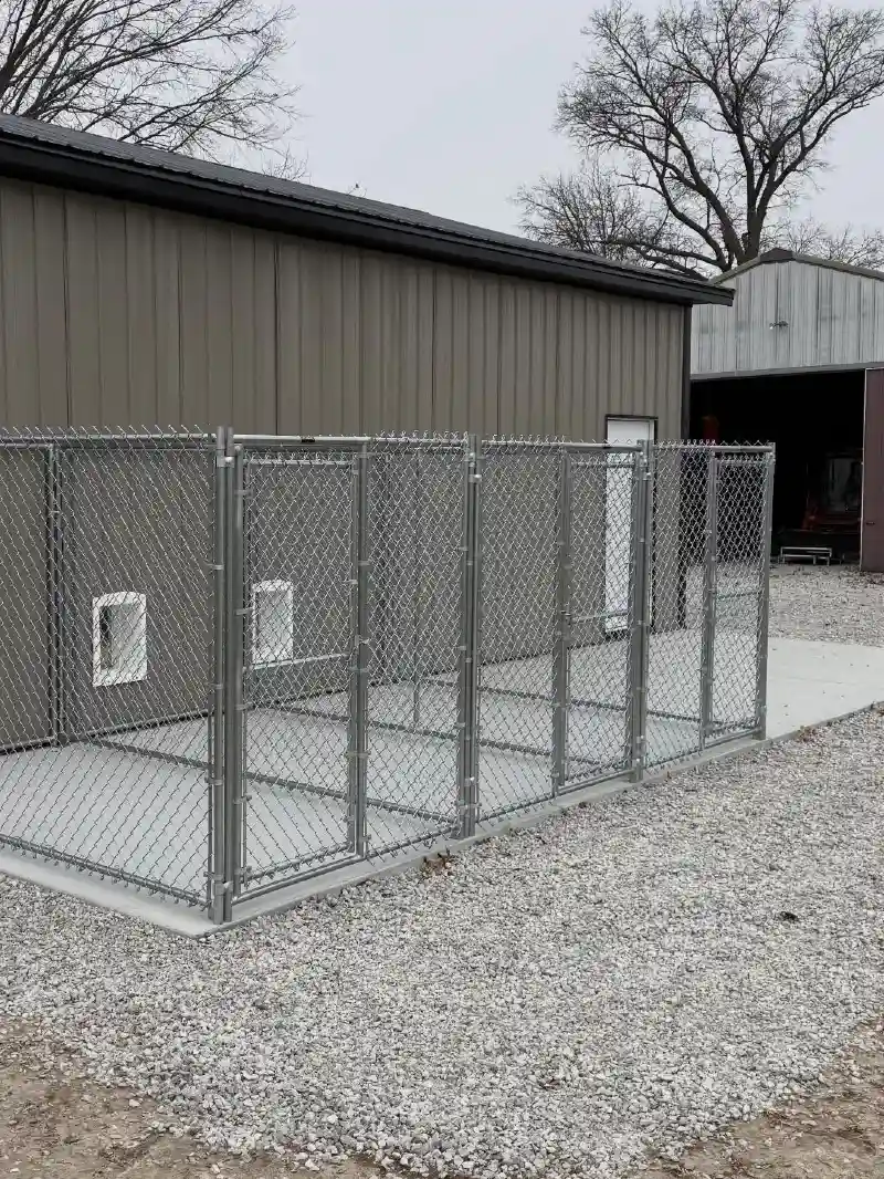 Galvanized Chain-Link Triple-Run Kennel over Concrete Slab with Outbuilding Dog Doors