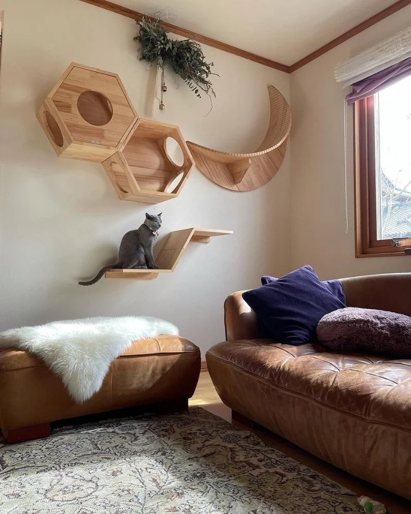 Geometric Honeycomb and Crescent Moon Pine Shelves Mounted over a Cognac Leather Sofa