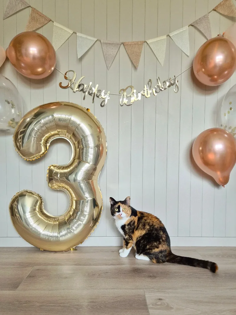 Giant Gold Foil Number Three Balloon with Rose Gold Accents and Burlap Bunting