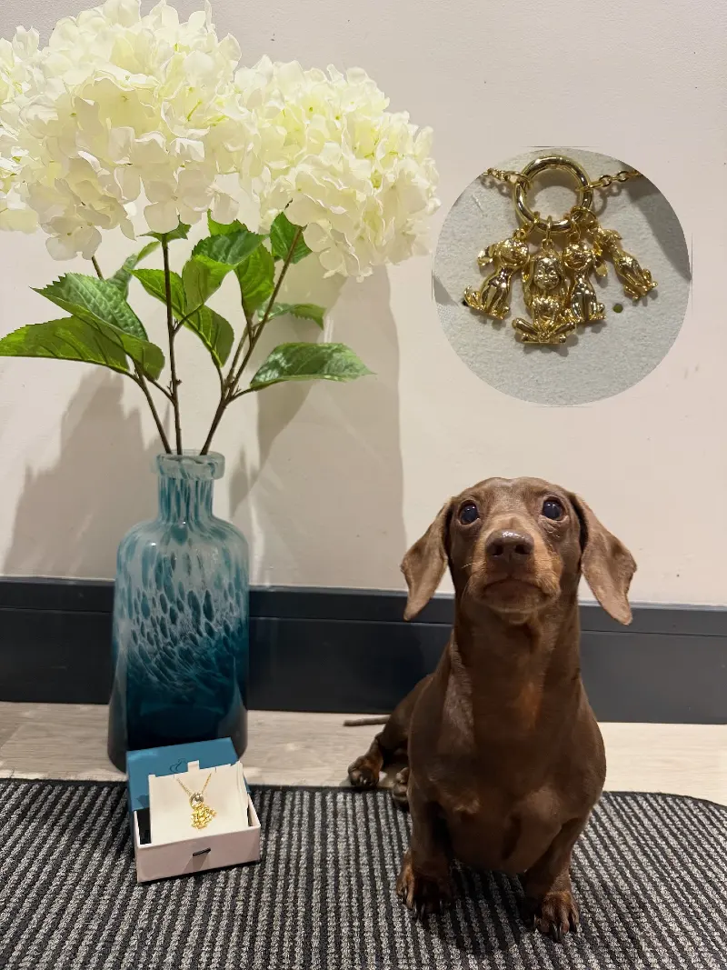 Gold Charm Necklace featuring Custom Dog Charms