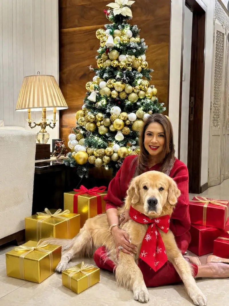 Gold and White Bauble Tree with Metallic Gift Boxes and Festive Dog Collar
