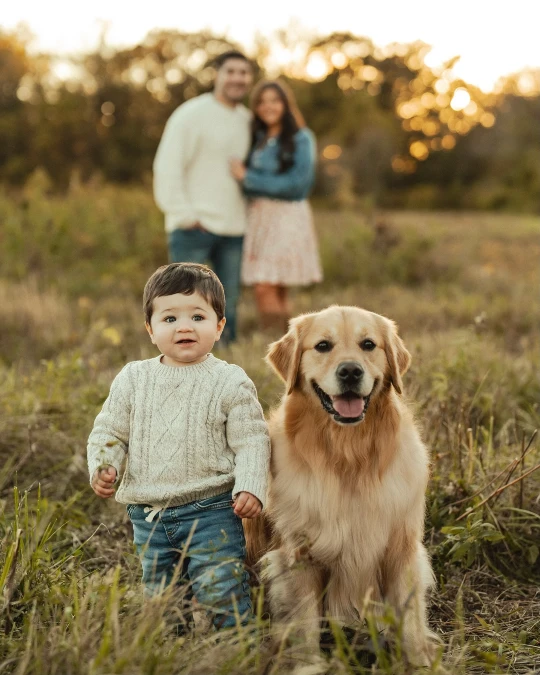 Golden Hour Field Portraits with Toddler and Dog