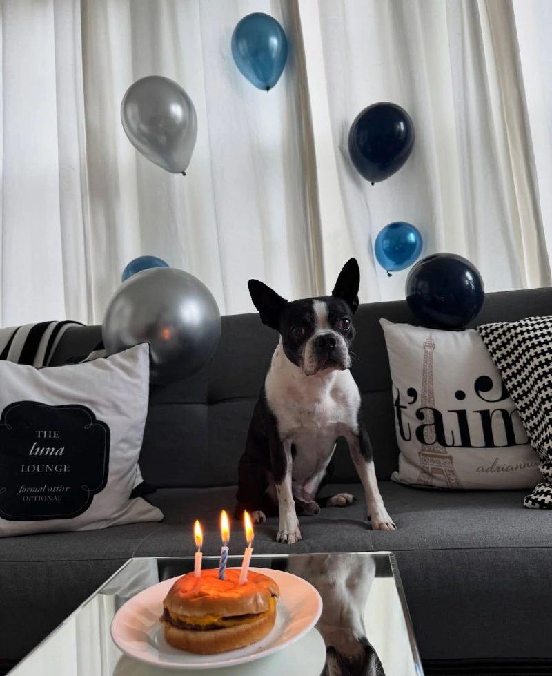 Grey Tufted Sofa with Silver Metallic Balloons and Candlelit Burger Cake