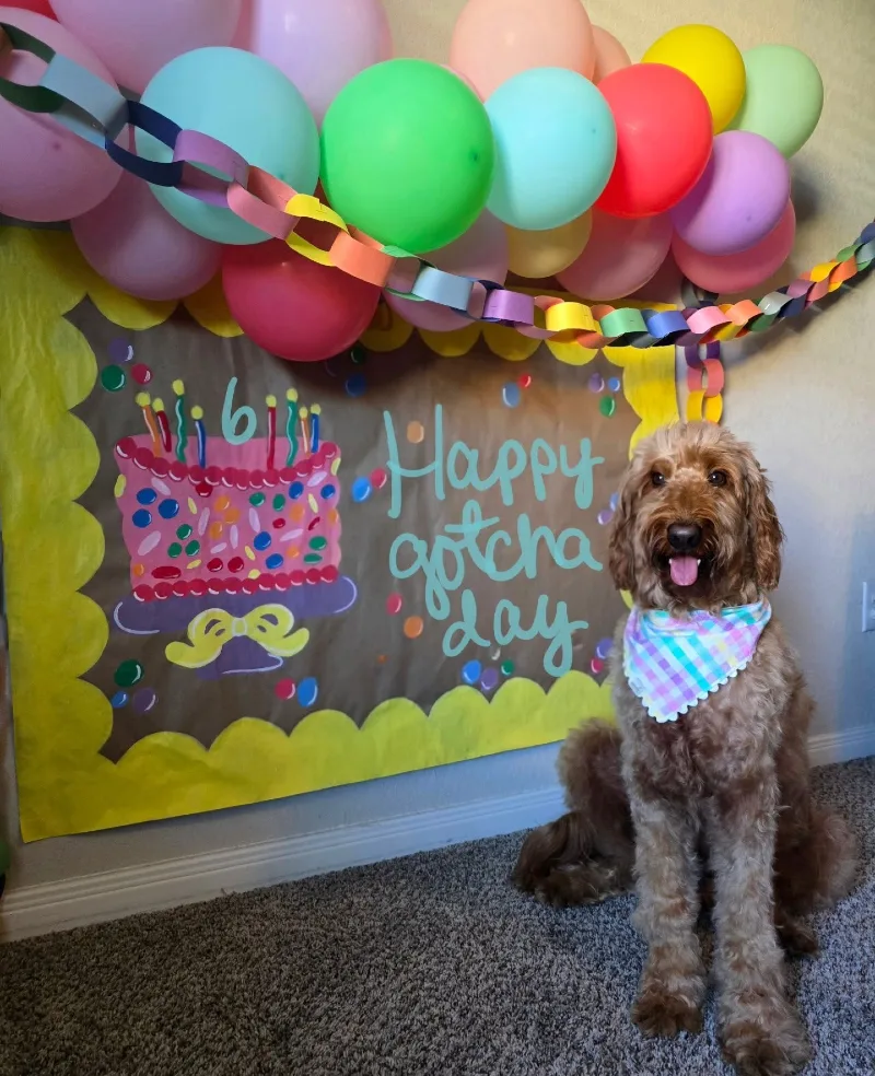Hand-Painted Kraft Paper Banner with Pastel Balloon Arch and Paper Garland