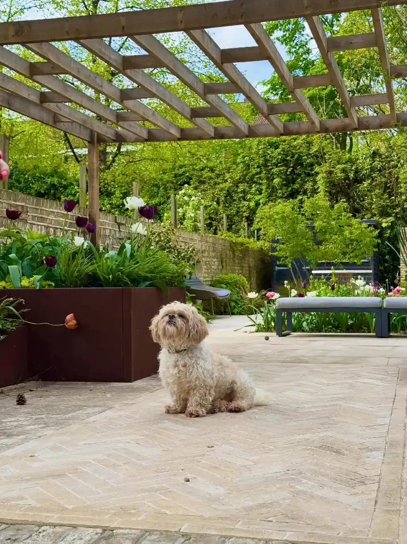 Herringbone Stone Patio with Dark Metal Planters and Overhead Timber Pergola