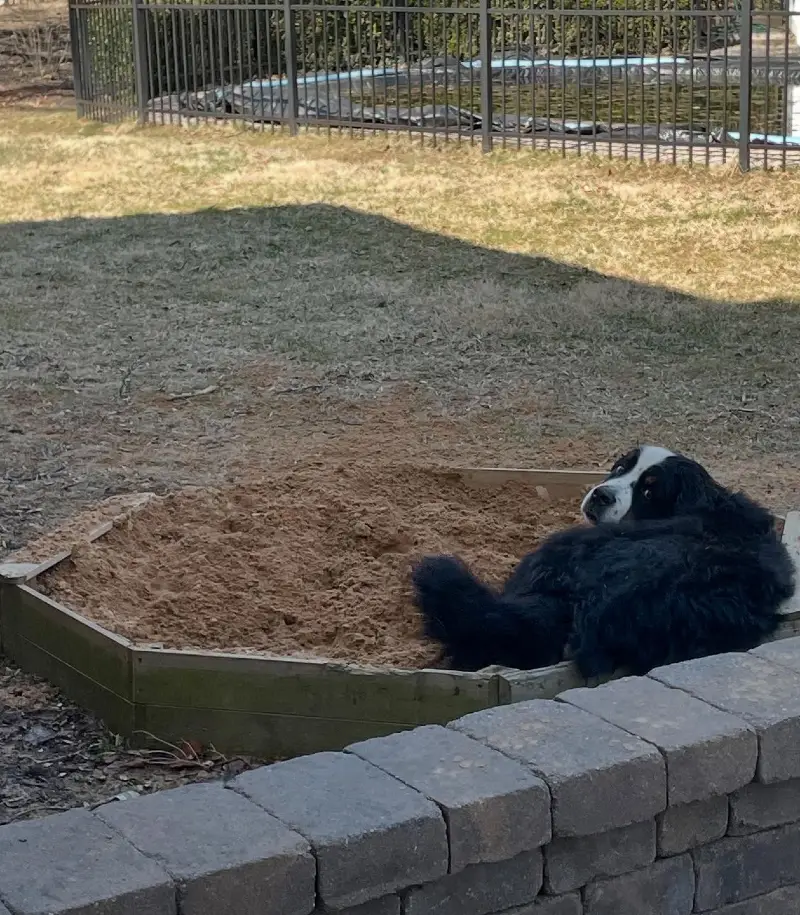 Hexagonal Wooden Sandbox Tucked Behind a Stone Retaining Wall