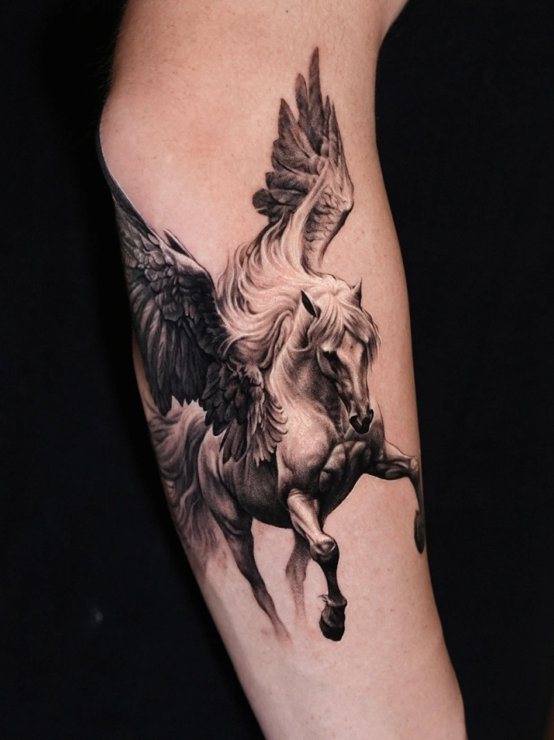 High-Contrast Realism Pegasus with Dramatic Feathered Wings and Sweeping Mane