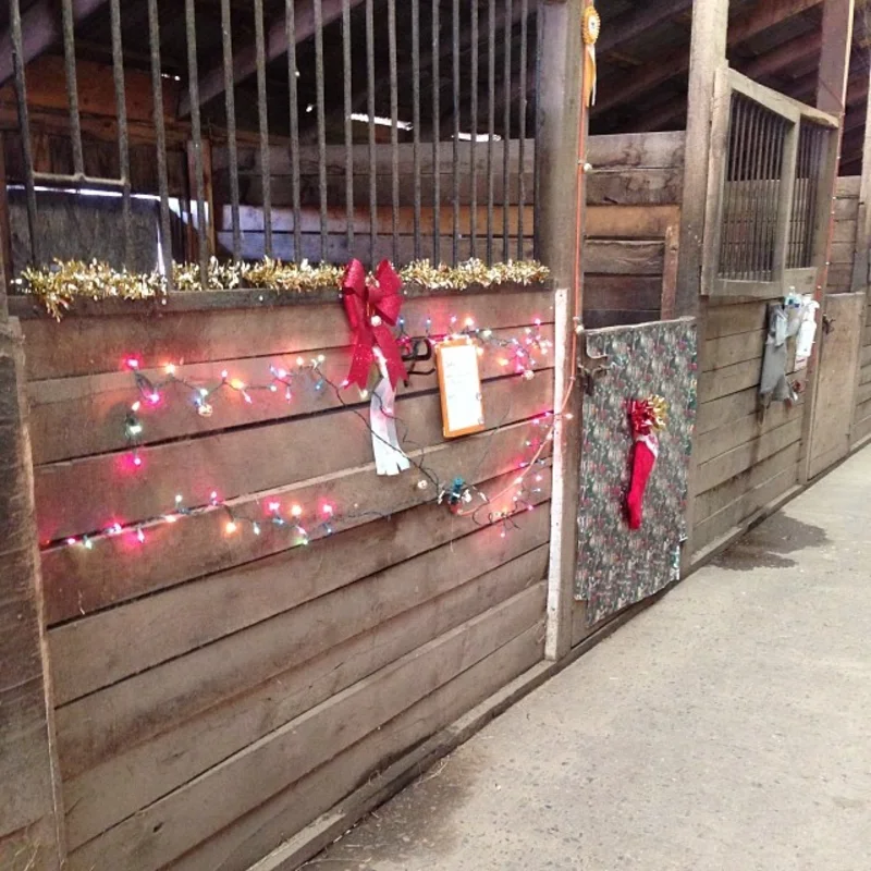 Holiday Stall Display with Vibrant Multi-Colored Lights and Crimson Bow on Rustic Wood