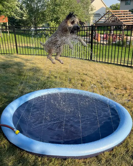 Hose Connected Sprinkler Ring