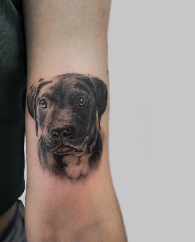 Hyper-Realistic Black Labrador Puppy Portrait on Inner Arm