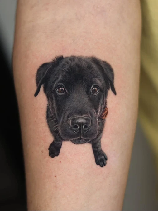 Hyperrealistic Black Dog Portrait