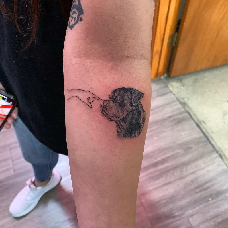 Illustrative Creation of Adam Boop Meme Tattoo with Minimalist Hand and Shaded Rottweiler Profile