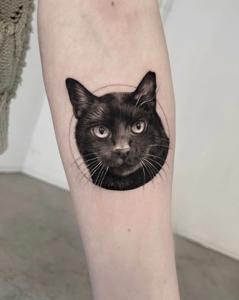 Illustrative Realism Black Cat Head Contained in a Fine Circle Frame