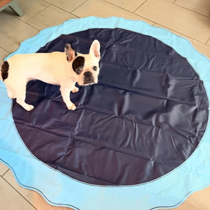 Indoor Flat Vinyl Splash Mat