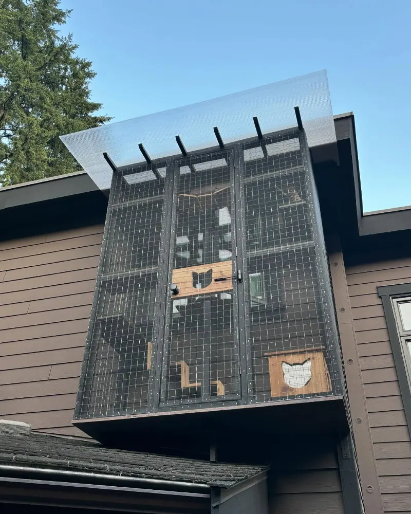 Industrial Black Metal Overhang Enclosure with Translucent Awning and Wooden Cat Cabins