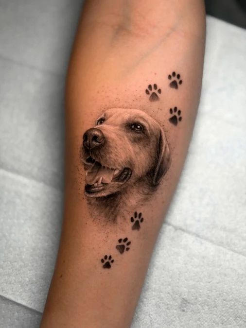 Joyful Dog Portrait With Paw Trail
