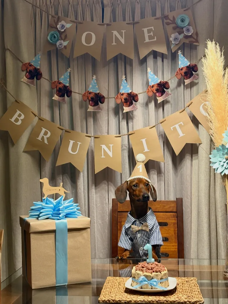 Kraft Paper Banner Backdrop with Custom Dog Face Garland and Blue Accents