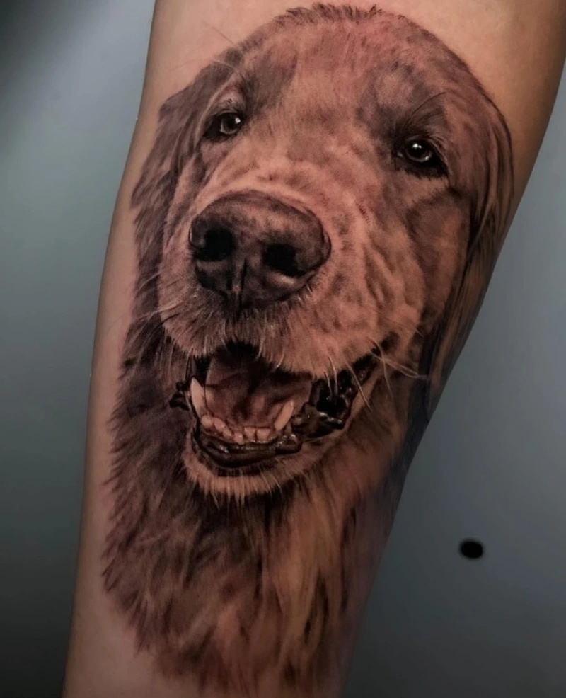 Large Realism Golden Retriever Portrait with Fluffy Coat Textures and Detailed Open-Mouth Composition