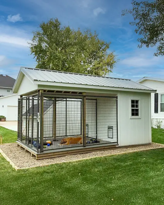 Large White Shed Kennel With Enclosed Run