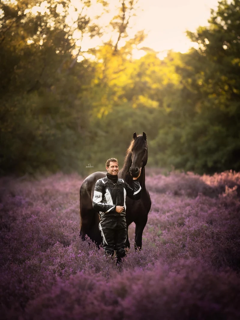Leather Biker Gear in a Blooming Purple Heath with a Friesian Horse