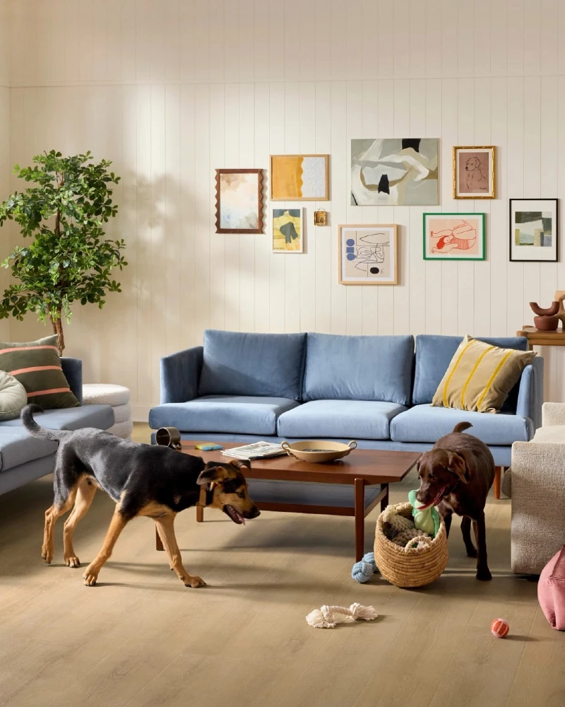 Light Blue Velvet Sofa with Mid-Century Coffee Table and Woven Toy Basket on Light Oak Flooring
