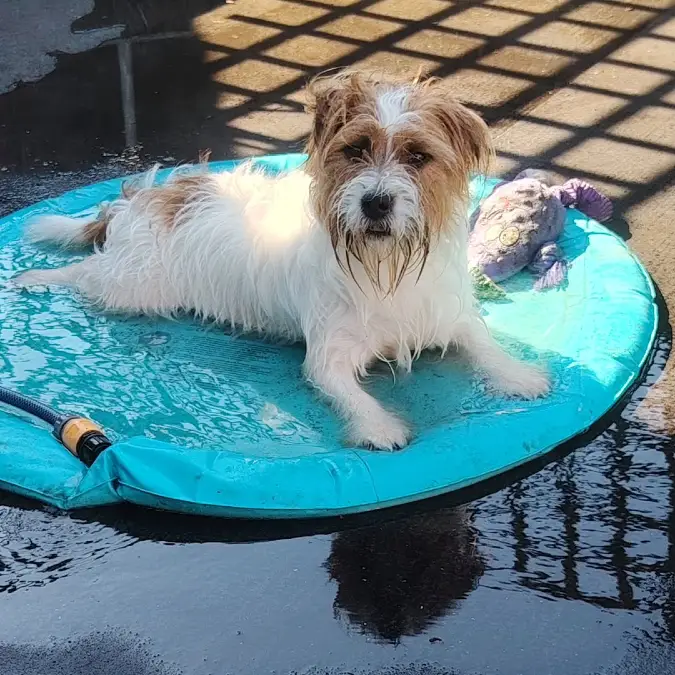 Low Basin Wading Pool with Lattice Shade