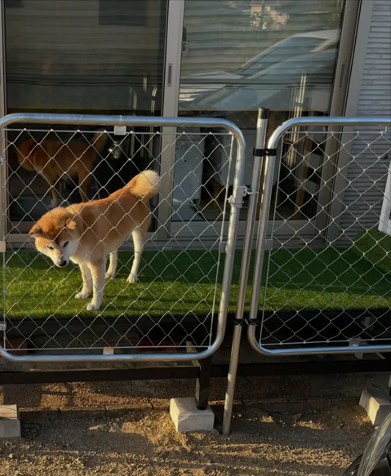 Low Galvanized Chain-Link Fence over an Elevated Turf Platform