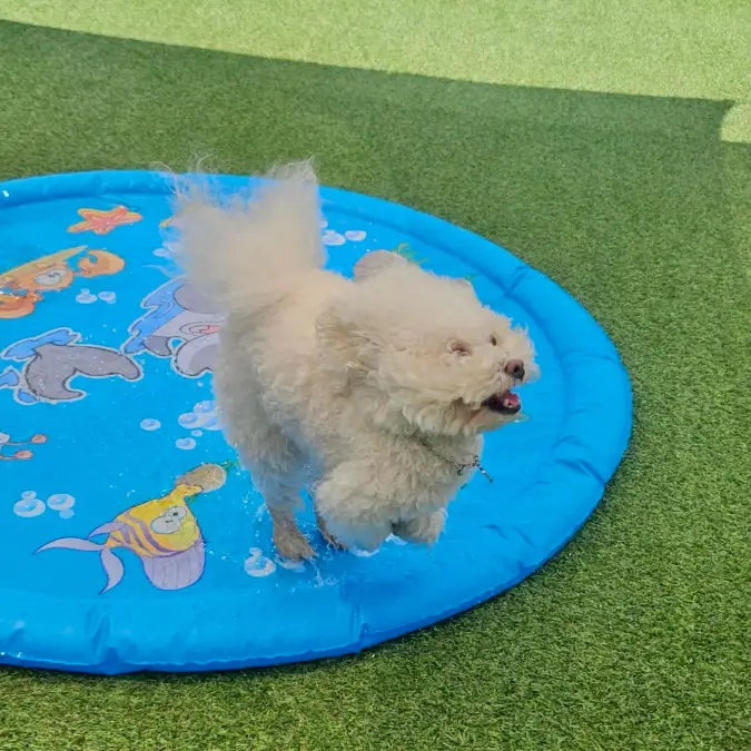 Low Profile Splash Pad on Artificial Turf