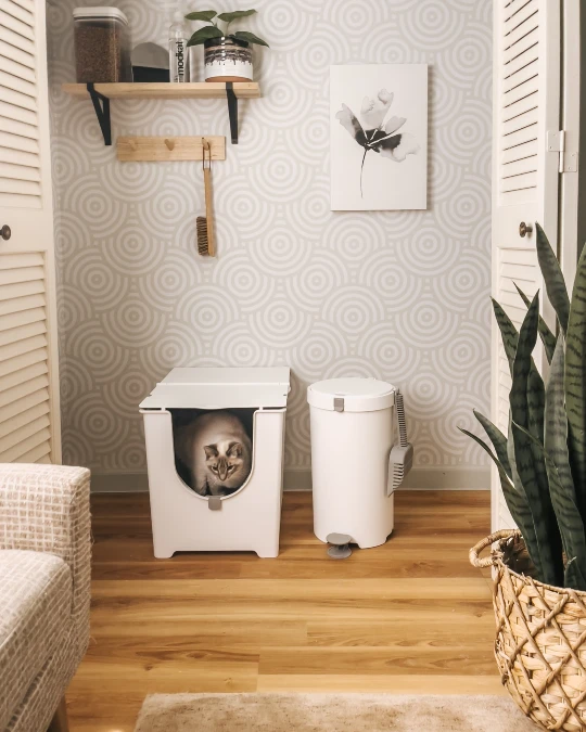 Matching White Closet Setup