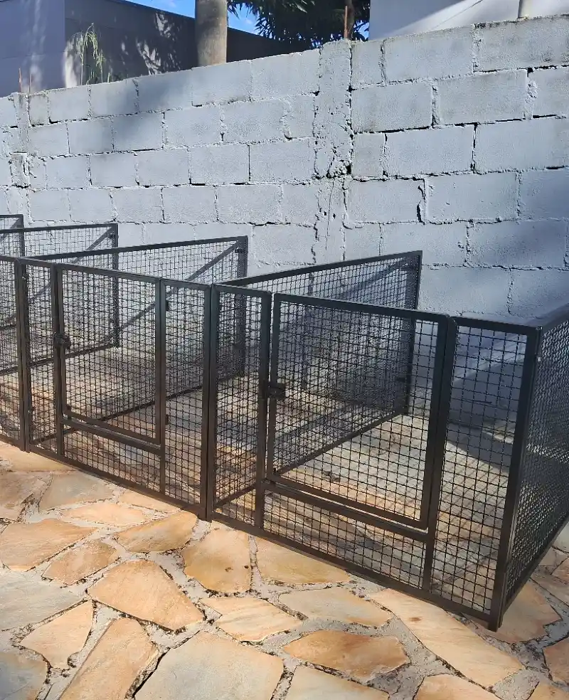 Matte Black Multi-Bay Wire Mesh Kennels on Flagstone Patio
